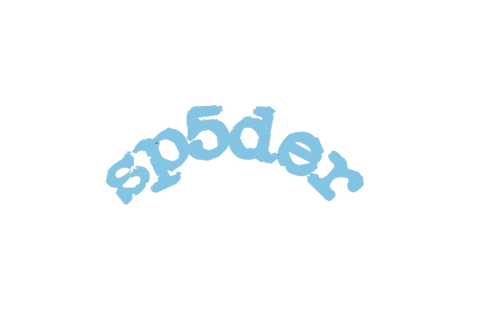 Sp5der