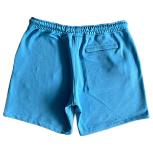Synaworld ‘Syna Logo’ Shorts- Blue and Gray 3