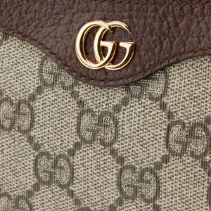 Gucci ophidia mini bag 5