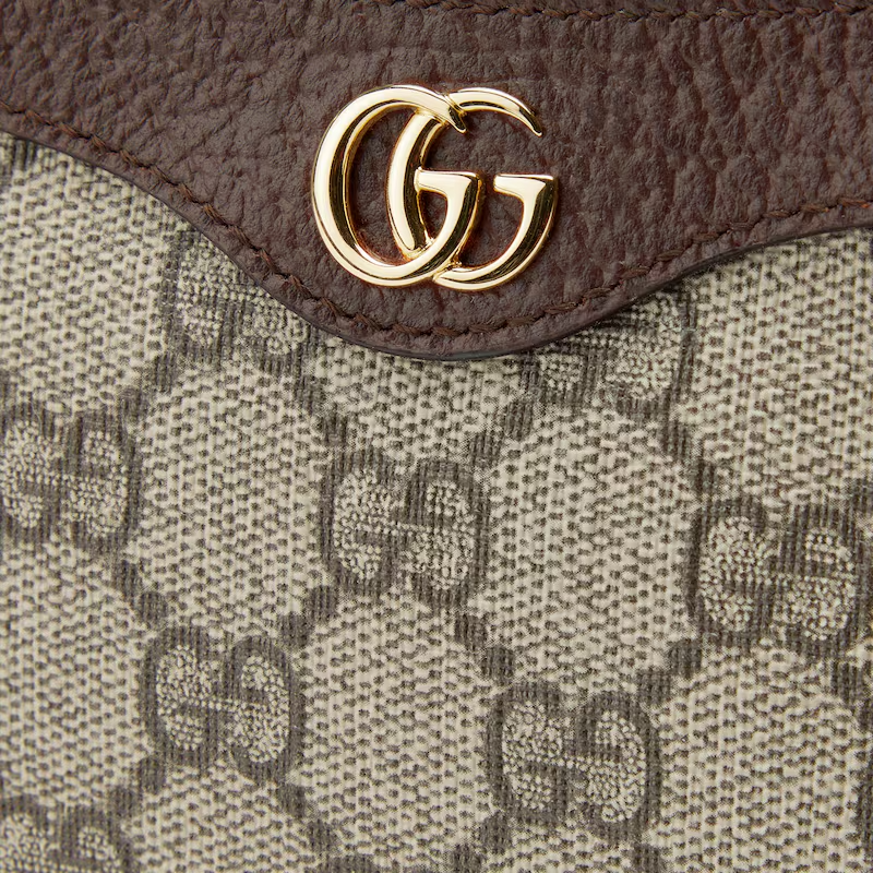 Gucci ophidia mini bag 5