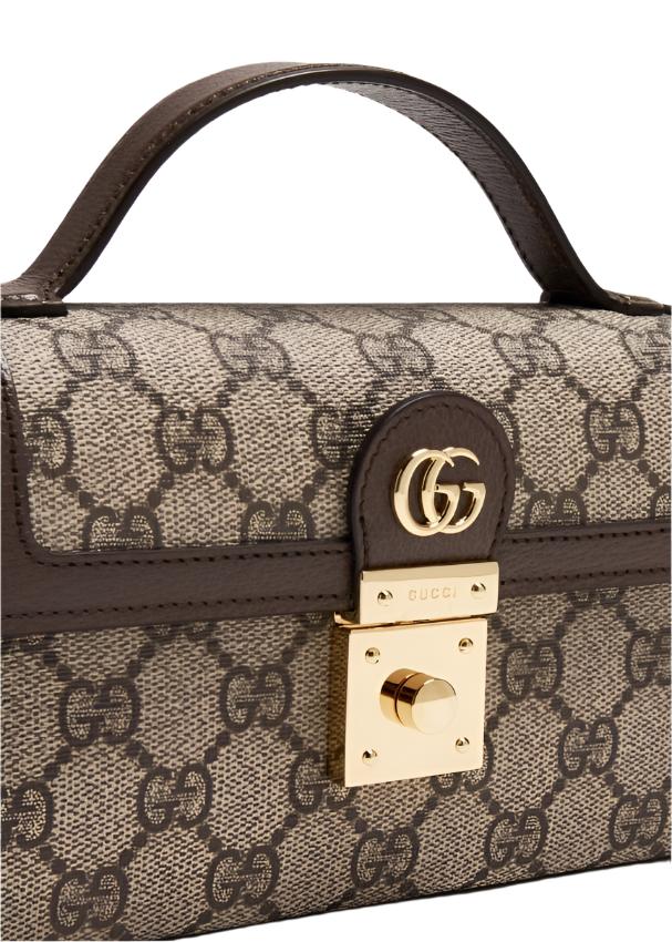 Gucci Ophidia Mini Bag 2