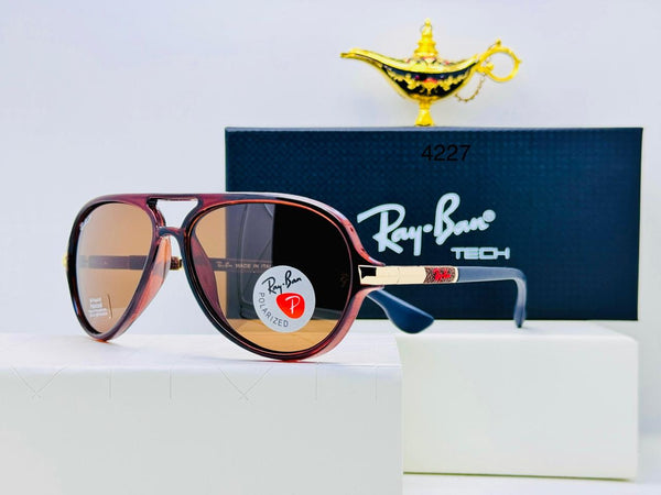 Ray-Ban Glasses