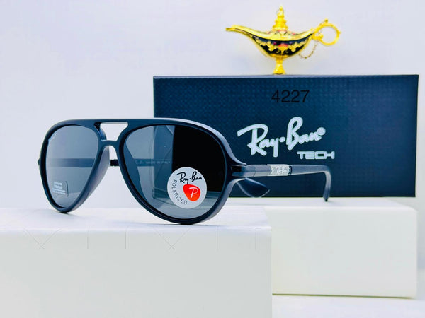Ray-Ban Glasses