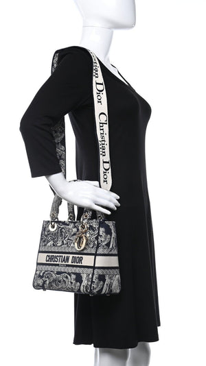 Christian Dior Toile de Jouy Embroidered Medium Lady "D-Lite Blue" 5