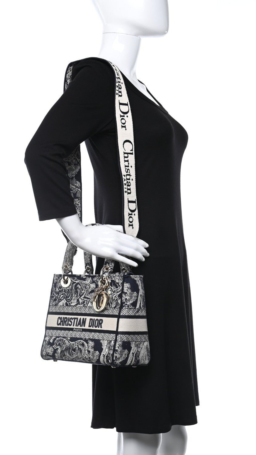 Christian Dior Toile de Jouy Embroidered Medium Lady "D-Lite Blue" 5