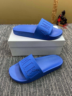 Amiri Slides 2
