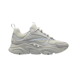 Dior B22 'Grey' 1