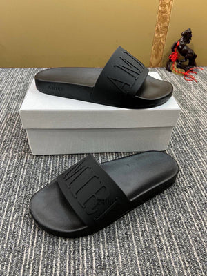 Amiri Slides 2