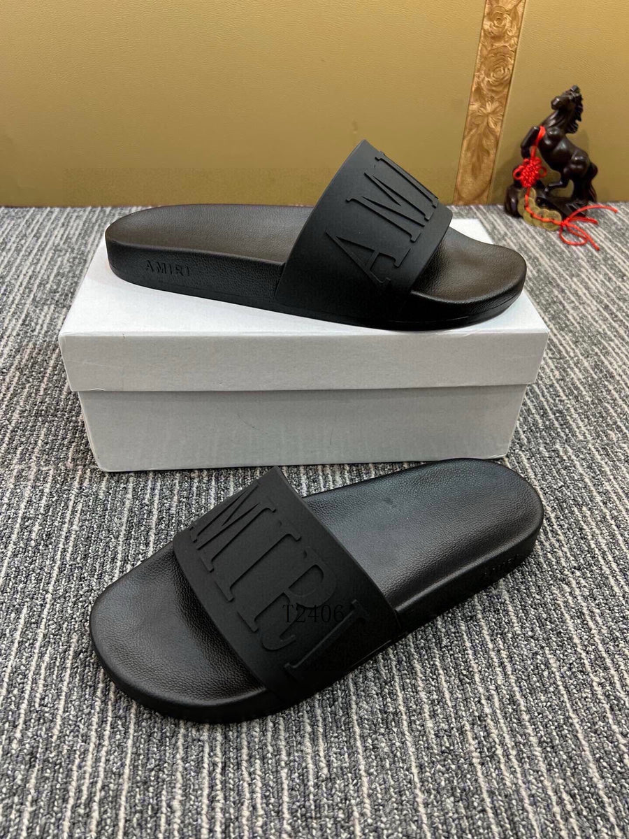 Amiri Slides 2